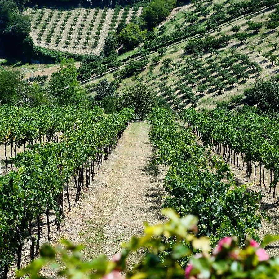 Farm stay Podere Baratta Agriturismo E Cantina Collinello Italy