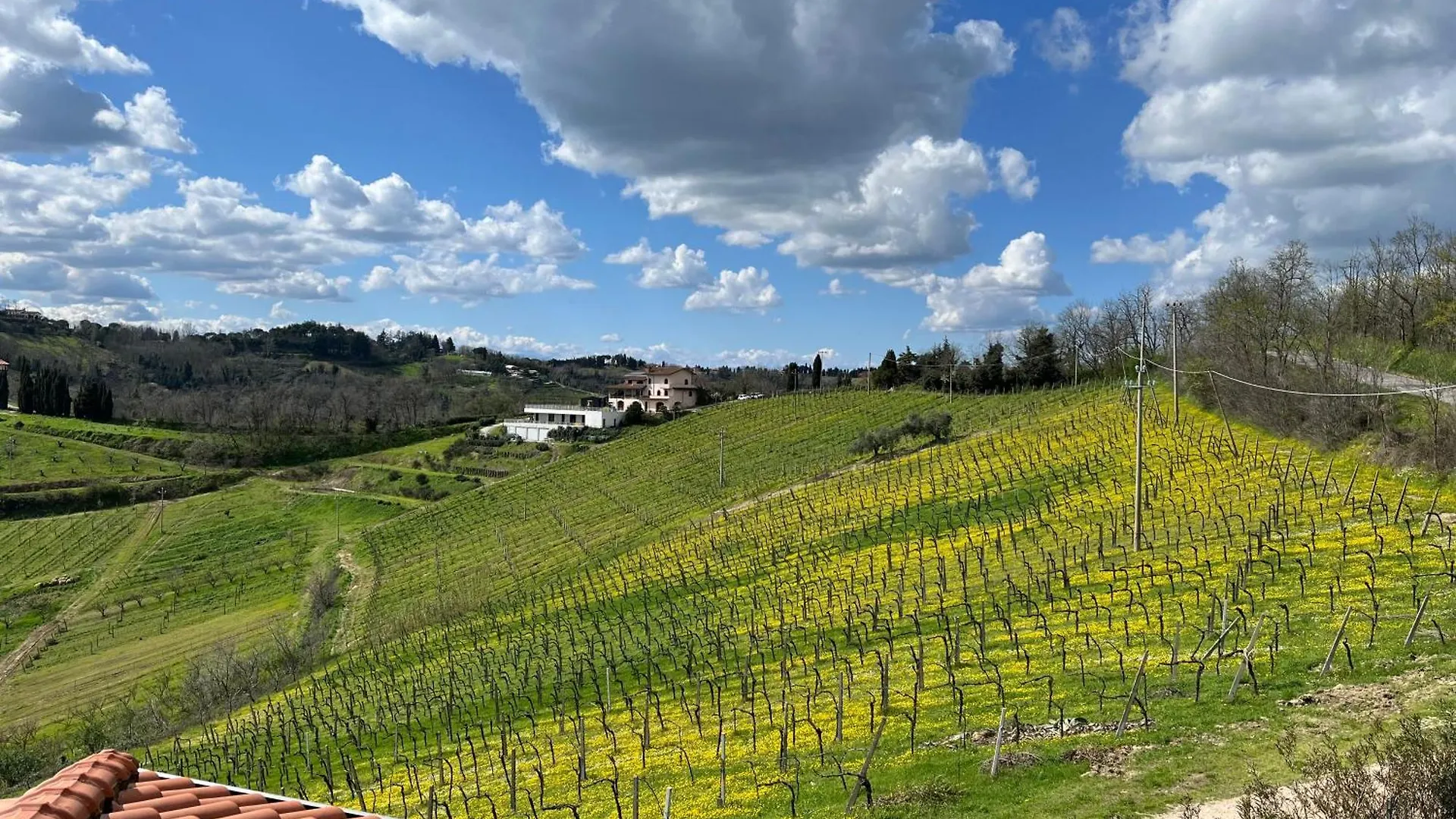 Farm stay Podere Baratta Agriturismo E Cantina Collinello